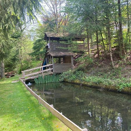 Hotel-Restaurant Theis-Muehle Biersdorf Eksteriør bilde