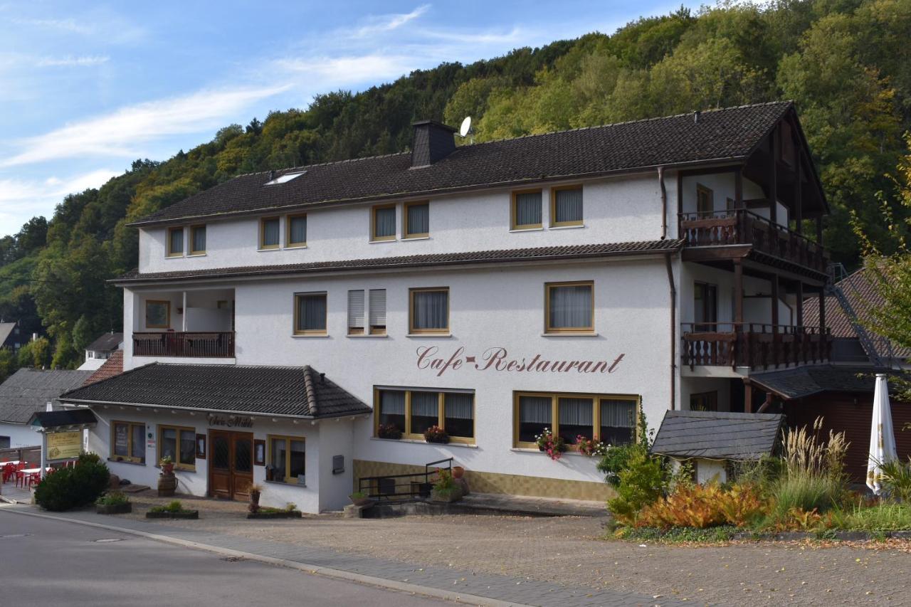 Hotel-Restaurant Theis-Muehle Biersdorf Eksteriør bilde